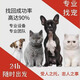 京東本地找貓團隊上門(mén)找貓24小時(shí)在線(xiàn)隨時(shí)出發(fā)就近安排 尋寵服務(wù)