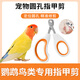 哇米鸚鵡鳥類專用指甲剪套裝指甲刀修剪指甲鉗磨甲器虎皮玄鳳牡丹用品 寵物圓孔指甲剪【配銼刀】