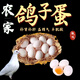 LZJV新鮮大個(gè)農(nóng)家雜糧喂養(yǎng)白鴿子蛋高品質(zhì)生鮮孕婦寶寶營(yíng)養(yǎng)現(xiàn)撿現(xiàn)發(fā) 甄選20枚新鮮鴿子蛋