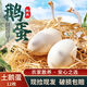 森柔農(nóng)家正宗土鵝蛋 大個(gè)自養(yǎng)散養(yǎng)新鮮特大土鵝蛋 批發(fā)一整箱 農(nóng)家鵝蛋（100-120g） 6枚裝