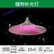 馳素LED全光譜植物生長(cháng)燈大功率大棚蔬菜室內陽(yáng)臺多肉種植補光燈上色 18W紅藍工況植物燈多肉上色