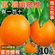 正宗贛南臍橙10斤橙子大果應(yīng)當(dāng)季水果新鮮贛州果凍橙手剝冰糖甜橙 人工精選大果【贛南臍橙】 帶箱【10斤裝】禮盒包裝