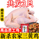 王氏正德雞 雞肉生鮮 三黃雞3只 農家散養土雞走地雞童子雞新鮮冷凍白條雞 三黃雞650g*3只 帶料包