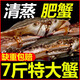 東海梭子蟹新鮮冷凍公蟹當(dāng)日現(xiàn)捕蟹飛蟹白蟹海蟹公蟹母蟹螃蟹批發(fā) 7-9兩/只【7斤 特大號(hào)】個(gè)大肥美