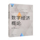 數字經(jīng)濟概論/數字經(jīng)濟系列教材