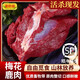 曼歐福鹿肉生鮮現(xiàn)殺 梅花鹿肉腿肉 鹿排骨生鮮整扇燒烤食材  新鮮鹿肉 鹿前腿肉1斤