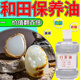 白茶油玉石保養油防裂提亮翡翠手鐲化棉神器和田玉琥珀養護白茶油 1瓶【玉石保養油】