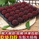 庫瑞【順豐】冰鮮楊梅2025年東魁楊梅荸薺楊梅大果孕婦愛酸甜水果 甄選18-25g【甄選老樹果】72顆
