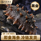 趙家即食海參 4斤（30-40只） ?播剌參 鮮活海參加工 免泡發(fā)