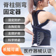 風(fēng)尚志脊柱側彎矯正器S型腰椎彎曲青少年醫用成人坐姿兒童高低肩牽引器 L號(170-200cm)