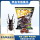 憨憨寵甲蟲果凍獨角仙鍬甲昆蟲果凍飼料花金龜兜蟲毛象成蟲黑糖食物食臺 5顆散裝(黑糖)
