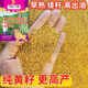 秋穎高產(chǎn)黃籽油菜花種子早熟矮桿高油耐寒農(nóng)科院新品種榨油油菜籽 高產(chǎn)【黃籽】油菜花種子100%一包