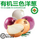 諸氏橙品【有機(jī)】三色洋蔥 新疆現(xiàn)挖紫皮黃皮白皮洋蔥圓蔥頭 涼拌增香食材 【有機(jī)三色洋蔥】 2.5kg 嘗鮮裝