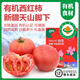 【新疆 有機西紅柿】新鮮買蔬菜自然熟沙瓤大番茄普羅旺斯 【12枚禮盒裝】 2.25g -都是大果