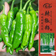 壽禾 樟樹(shù)港辣椒種子種苗湖南二荊條蔬菜籽 壽禾樟樹(shù)港辣椒種子60粒