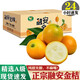譯蒙之味廣西融安脆皮金桔滑皮小金桔新鮮當季水果孕婦純甜無(wú)酸脆蜜金橘 大果1斤【31-35顆/斤】嘗鮮裝