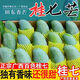 櫻鮮廣西百色桂七芒果當季新鮮水果(老樹花皮果)2份合發(fā)一箱 應季桂七芒 4.25-4.5斤