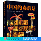 【官方現(xiàn)貨首發(fā)】中國的毒蘑菇