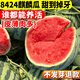 無(wú)籽西瓜種子美都冰糖麒麟西瓜種籽四季盆栽苗秧早佳8424西瓜種孑 冰糖麒麟【8424】50粒