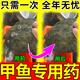 吉野木甲魚(yú)專(zhuān)用藥腐皮爛甲病爛身白底烏龜老鱉王八魚(yú)塘水產(chǎn)養殖消毒殺菌 1瓶裝【緊急消殺】