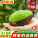 進(jìn)口牛油果墨西哥鱷梨新鮮軟糯孕婦水果當季整箱 4個(gè)巨無(wú)霸【單果170g+】?jì)?yōu)選