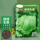 長(cháng)耕生菜種子大全四季生菜種家庭陽(yáng)臺意大利速生生菜籽盆栽蔬菜種子 結球生菜3克(約3000粒)