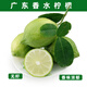 果齋園 廣東香水檸檬 新鮮無籽青檸檬 手打香檸檬 奶茶店飲品專用 1斤裝  發(fā)圓通