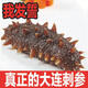 大連刺身即食海參單個(gè)裝速食非大連遼刺參海生鮮活速 1斤品嘗裝 8-18只/1斤