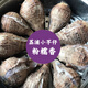 京營廣西正宗荔浦小芋頭仔粉糯新鮮農(nóng)家軟糯香芋艿非紅芽牛奶油小芋頭 3斤 荔浦芋仔-中果