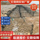 包塑格賓網(wǎng)鍍鋅雷諾護(hù)墊格賓石籠網(wǎng)鉛絲籠固濱籠河道編織石籠網(wǎng) 現(xiàn)貨充足，可開票【石籠網(wǎng)】