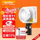 神牛（Godox）ML100Bi攝影燈雙色溫可調便攜夜拍燈人像補光燈戶(hù)外控制室電影視頻攝像燈  ML100Bi【官方標配】