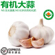 諸氏橙品【有機(jī)】大蒜 精選新干蒜頭多瓣蒜 烹飪有機(jī)調(diào)味食材生鮮蔬菜 【有機(jī)大蒜】 540g 小家庭嘗鮮
