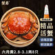 【活蟹】蟹爵大閘蟹鮮活螃蟹現(xiàn)貨生鮮河蟹水產(chǎn)實(shí)物海鮮禮盒 六月黃2.8-3.1兩8只