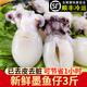 一米漁 新鮮墨魚仔鮮活冷凍小墨魚海鮮水產(chǎn)小烏賊目魚仔火鍋半成品商用 墨魚仔5斤【去皮去內(nèi)臟】