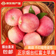 佟創(chuàng)山東煙臺(tái)紅富士蘋果 水果新鮮當(dāng)季生鮮 脆甜多汁山東特產(chǎn)脆甜整箱 紅富士75-80mm 凈重4.5斤