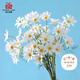 愛(ài)已裝糖 高檔仿真花假花客廳裝飾插花電視柜擺件塑料花 荷蘭小雛菊5支