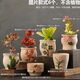 仟尚億多肉花盆陶瓷個(gè)性簡(jiǎn)約室內植物創(chuàng  )意粗陶花盆栽花盆透氣大口徑組合 SJH-粗陶手繪組合6個(gè) 中等