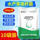 安牧漁復合枯草芽孢桿菌水產(chǎn)養殖專(zhuān)用肥水高效芽孢桿菌魚(yú)塘凈水降ph氨氮 高效芽孢桿菌500g/袋【10袋裝】