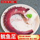 生鮮脆口大魷魚(yú)足章魚(yú)足大號魷魚(yú)須冷凍海鮮市場(chǎng)制品火鍋食材 魷魚(yú)足5斤 2500g(凈重)