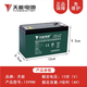 天能電池（TIANNENG BATTERY）天能兒童汽車電瓶摩托車玩具汽車音箱童車電池噴霧器電池電瓶大容 12V9AH
