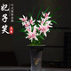 劉閣蘭花蘭花苗盆栽夏帶花苞發(fā)貨名貴花卉 金秋歲月四季開(kāi)花綠植室內香蘭 妃子笑3苗帶簡(jiǎn)易盆土肥，說(shuō)明書(shū)