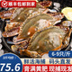 【鮮活發(fā)貨】?；蕿?梭子蟹 鮮活大螃蟹特大海蟹白蟹飛蟹海 梭子蟹鮮活【特大】3斤6-9只