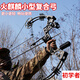 HUWAIREN復(fù)合弓滑輪弓箭成人獵弓專業(yè)高精度射擊大威力兩用復(fù)合弓打鋼珠弓 T2火麒麟迷彩色（只有一把弓）