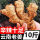 云南小黃姜新鮮老姜10斤沙姜仔姜月子姜南姜農(nóng)家現(xiàn)挖干姜生姜批發(fā) 500g