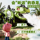4DRC兒童大恐龍機器狗玩具男孩遙控汽車(chē)變形機器人小朋友生日禮物男生