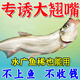 翹嘴餌料野釣黑坑江河大翹翹嘴紅鲌撅嘴鰱子餌料專(zhuān)用配方釣大翹嘴 1袋裝