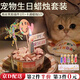 隨燦 寵物生日帽子圍兜可愛拍照裝飾口水巾字母圍巾狗狗貓咪生日派對 寵物生日裝飾【插件+蠟燭1套裝】