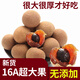 桂圓干特級16A福建莆田新貨桂圓干殼薄肉厚新鮮特大龍眼干煲湯 三斤凈含量1500克裝