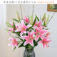 迷.妝 假花高支百合花仿真花束單支客廳電視柜餐桌裝飾品仿真花套裝花 5粉色香水百合1把春柳（不含花瓶）