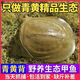 秋季 鮮活生態(tài)外塘生長(cháng)食用大甲魚(yú)生鮮魚(yú)冷水團魚(yú)王八鱉活體生鮮活鮮 4.0-4.2斤外塘野養老鱉【公鱉】